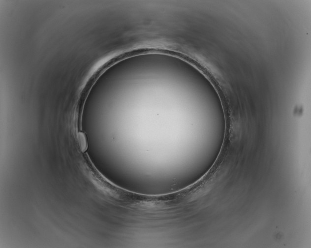 X0000097481272200802221344