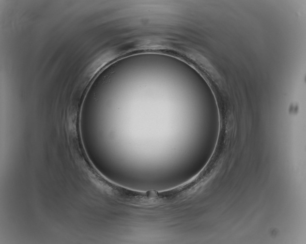 X0000097481273200802221344