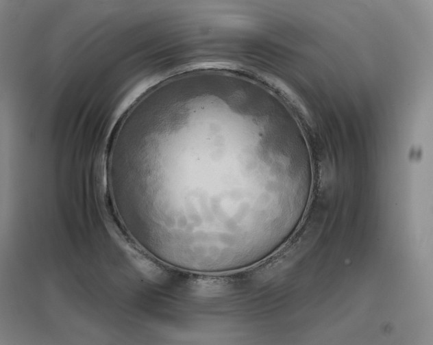 X0000097481274200802221344