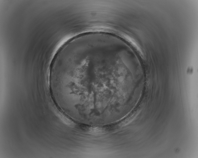 X0000097481275200802221344