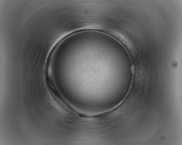 X0000097481276200802221344