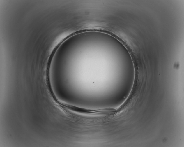 X0000097481277200802221344