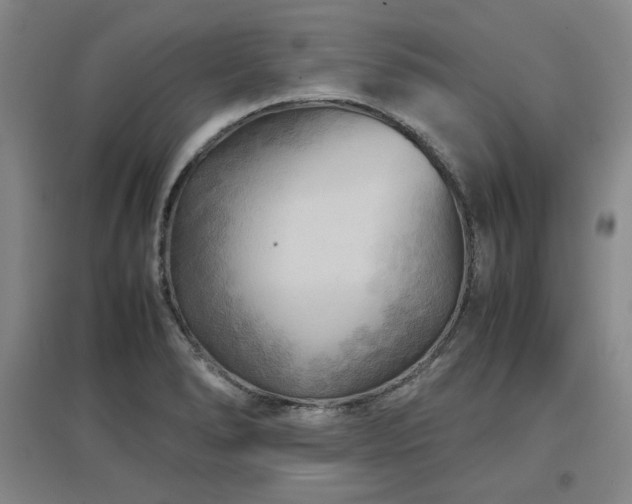 X0000097481278200802221344