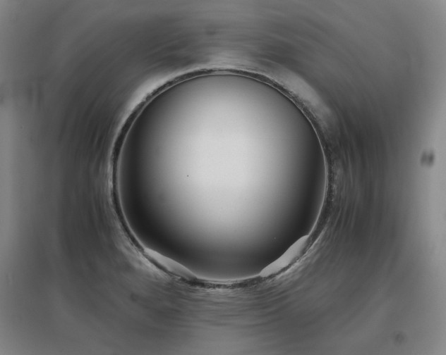 X0000097481280200802221344