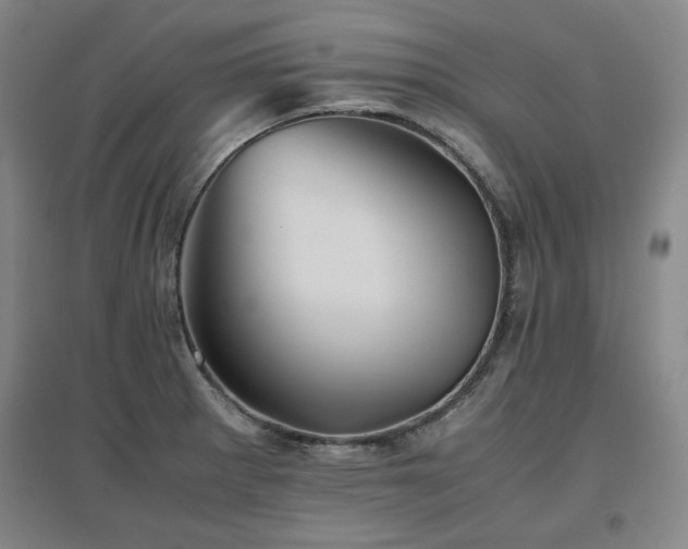 X0000097481281200802221344