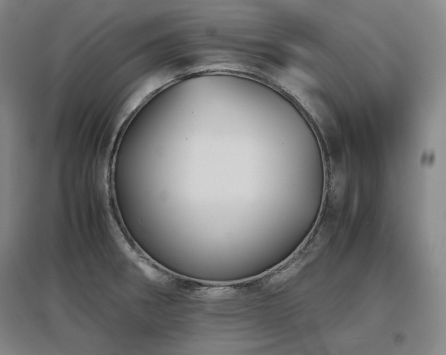 X0000097481282200802221344