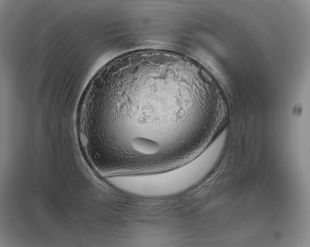 X0000097481283200802221344