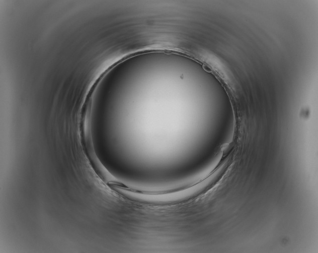 X0000097481284200802221344