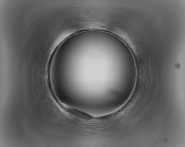 X0000097481285200802221344