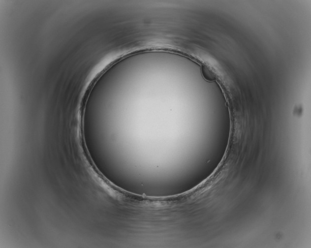 X0000097481286200802221344