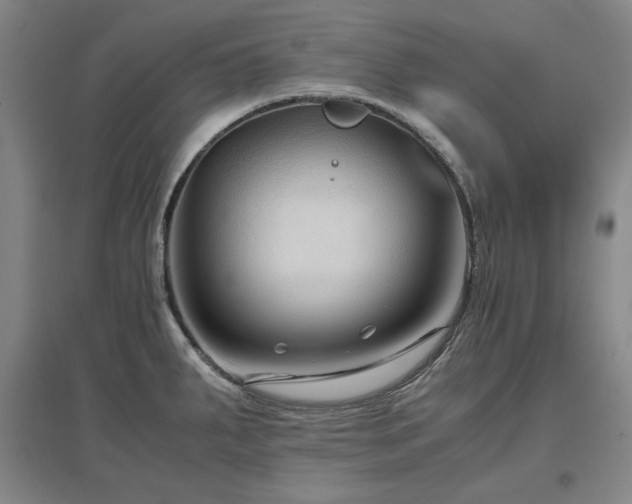 X0000097481287200802221344