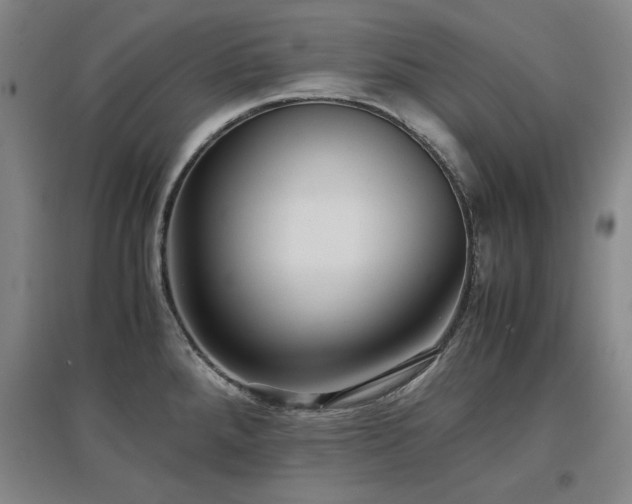 X0000097481288200802221344