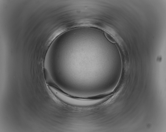 X0000097481289200802221343