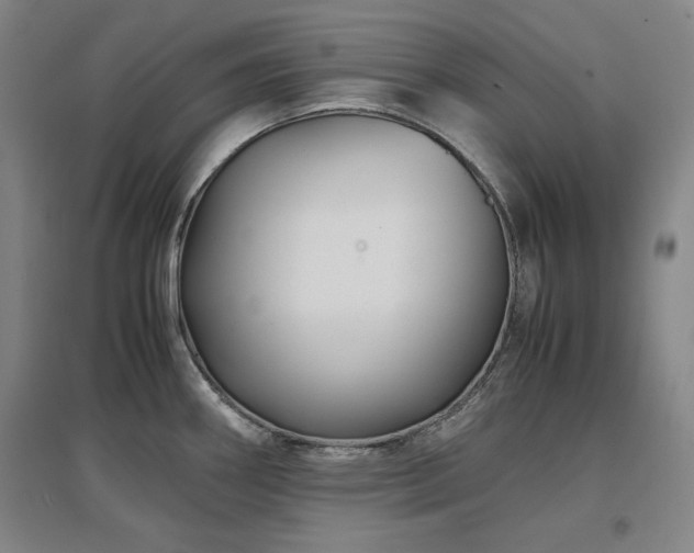 X0000097481290200802221343
