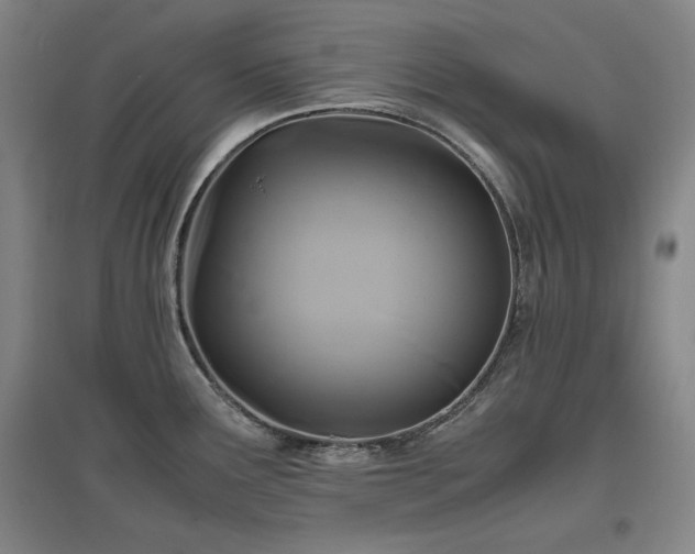 X0000097481291200802221343