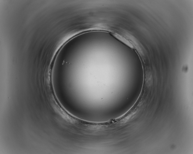 X0000097481292200802221343