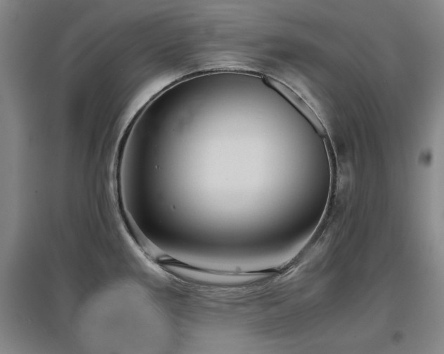 X0000097481293200802221343