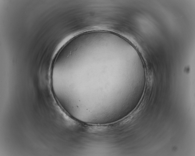 X0000097481294200802221343