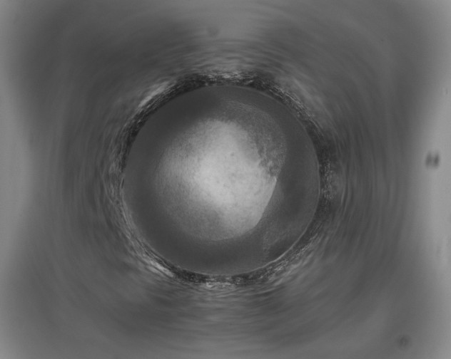 X0000097481297200802221343