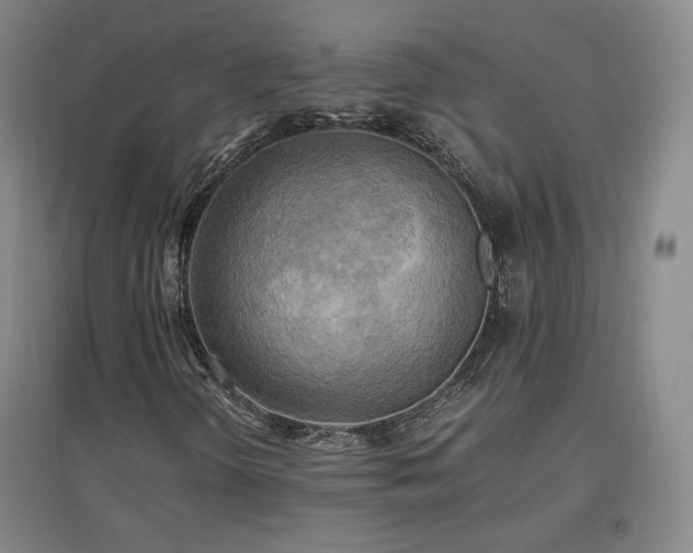 X0000097481298200802221343