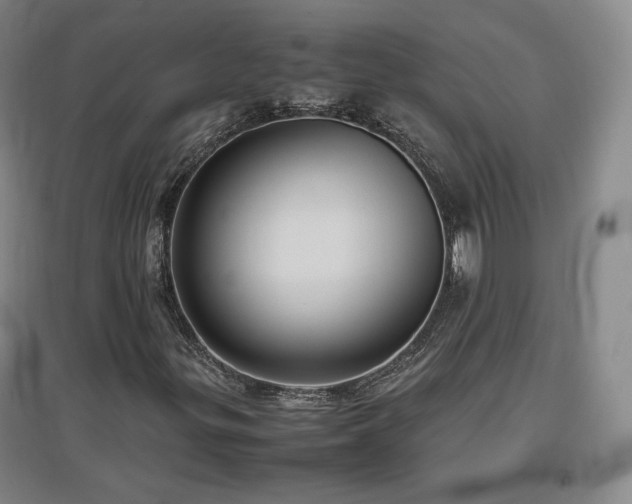 X0000097481299200802221343