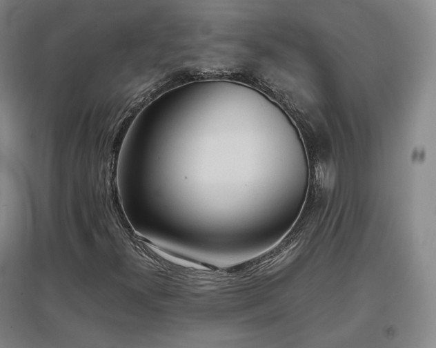 X0000097481300200802221343