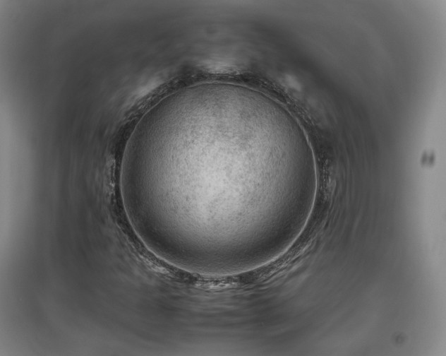 X0000097481301200802221343