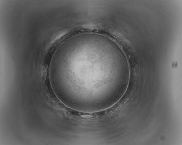 X0000097481302200802221343