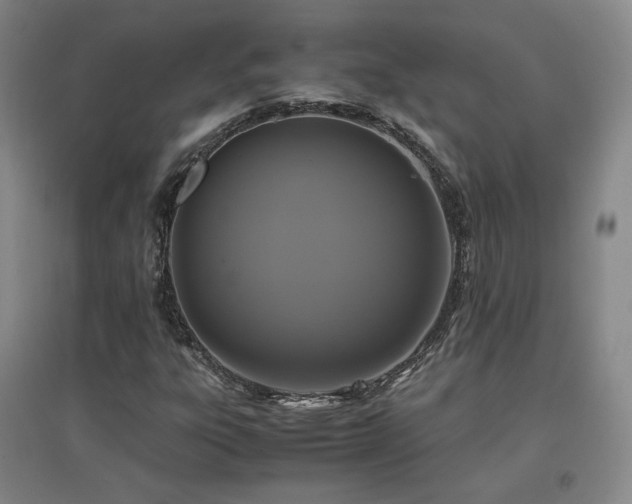 X0000097481303200802221343