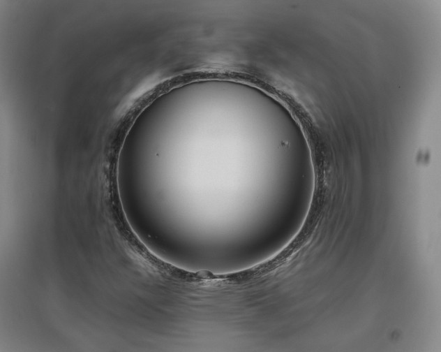 X0000097481304200802221343