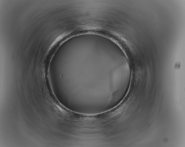 X0000097481306200802221343