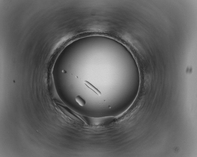 X0000097481307200802221343