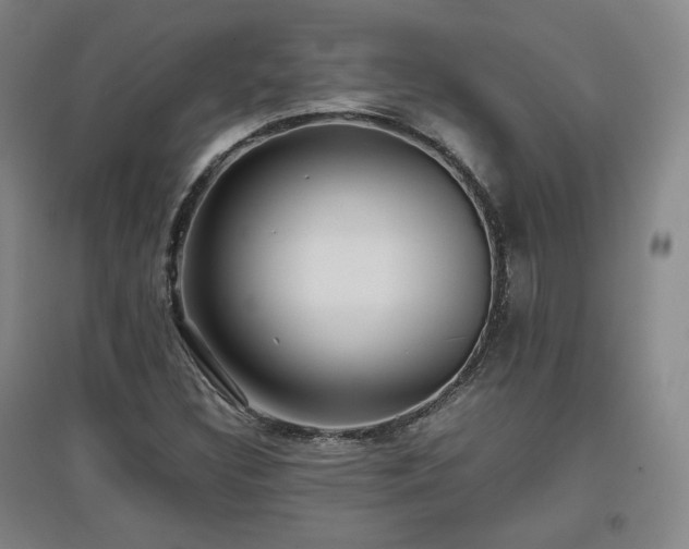 X0000097481308200802221343