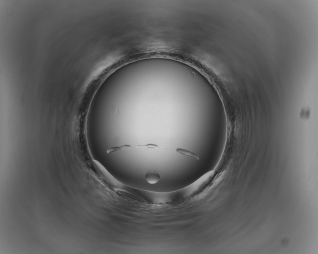 X0000097481309200802221343