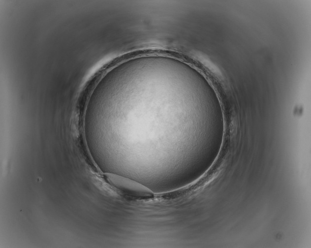X0000097481310200802221343