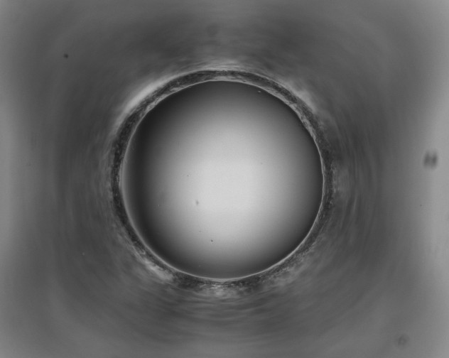 X0000097481311200802221343