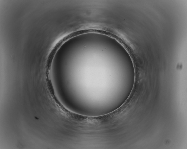X0000097481312200802221343