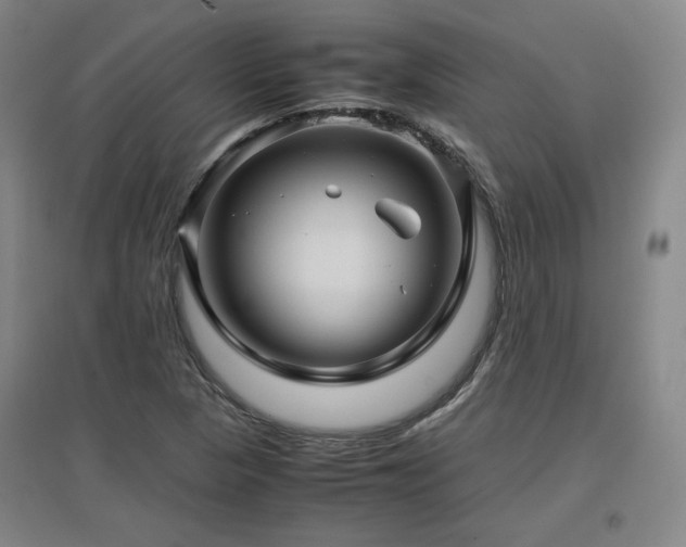 X0000097481313200802221343