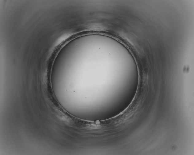 X0000097481315200802221343
