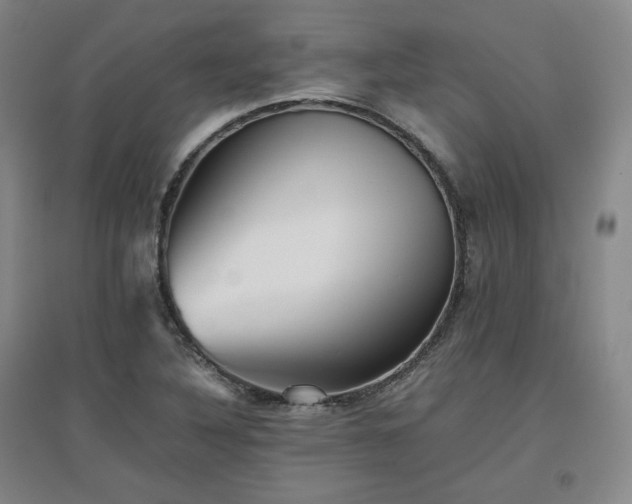 X0000097481316200802221343
