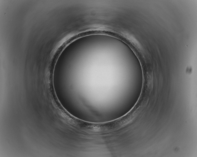 X0000097481318200802221343