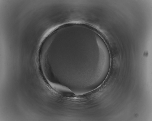 X0000097481319200802221343