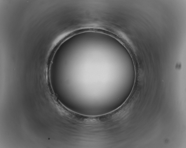 X0000097481320200802221343