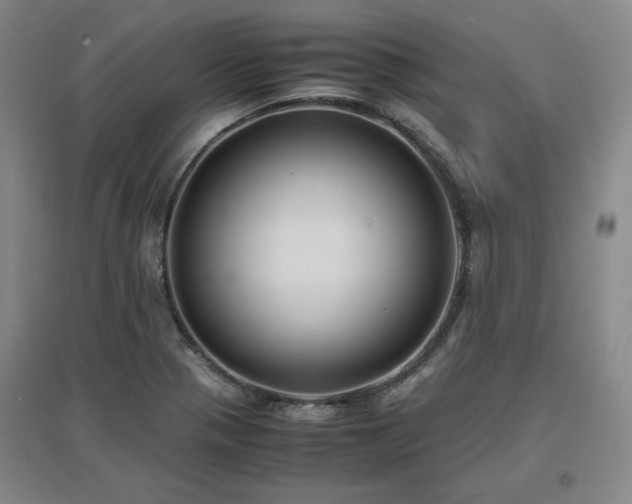 X0000097481321200802221343