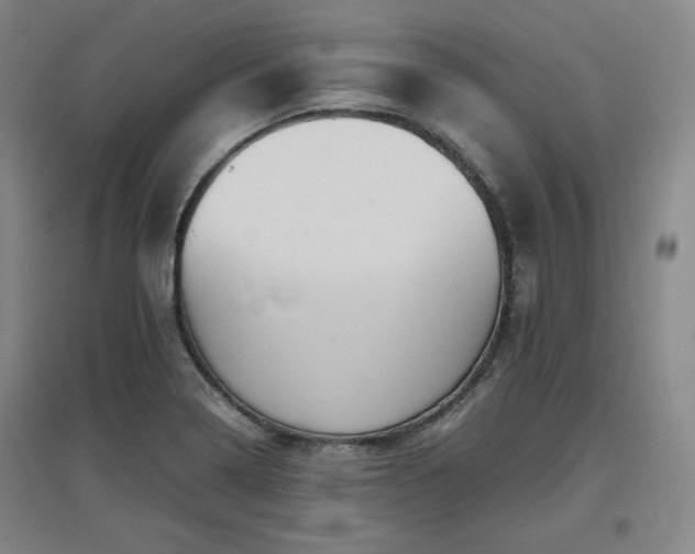 X0000097481322200802221343