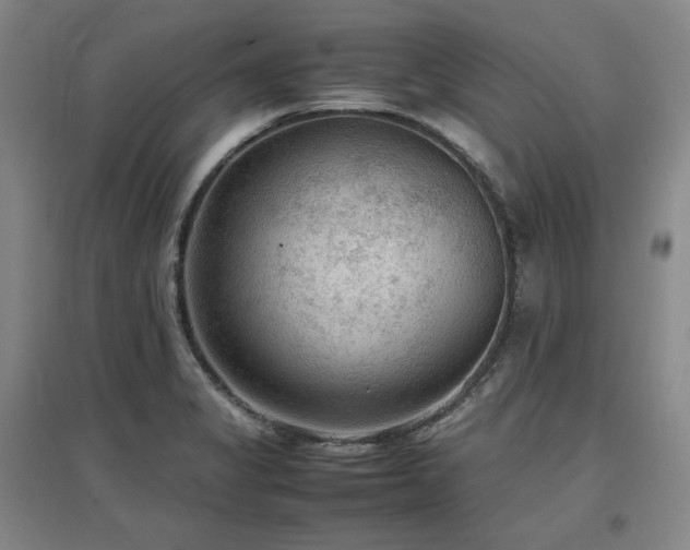 X0000097481325200802221343