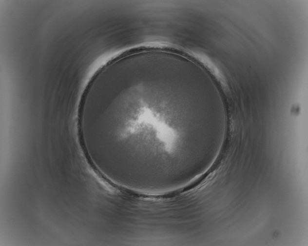 X0000097481327200802221343