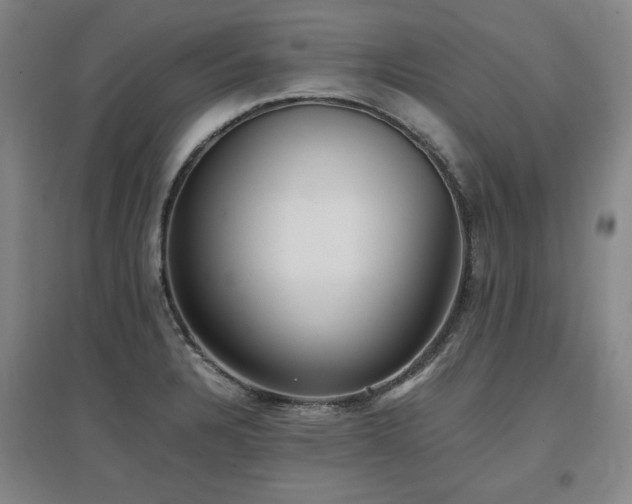 X0000097481328200802221343