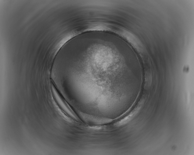 X0000097481329200802221343