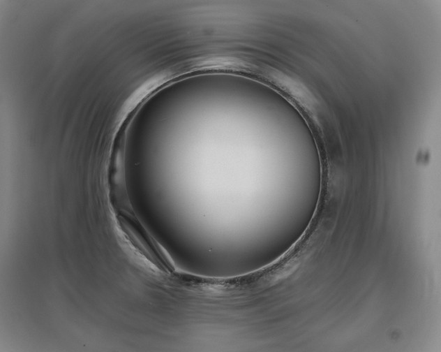 X0000097481330200802221343